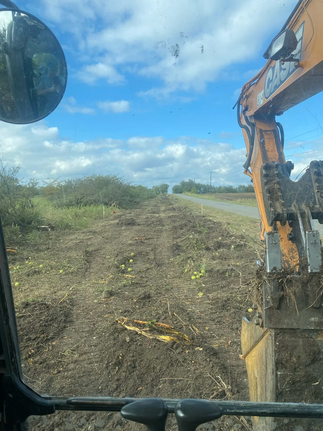 A tree line, cleared — before